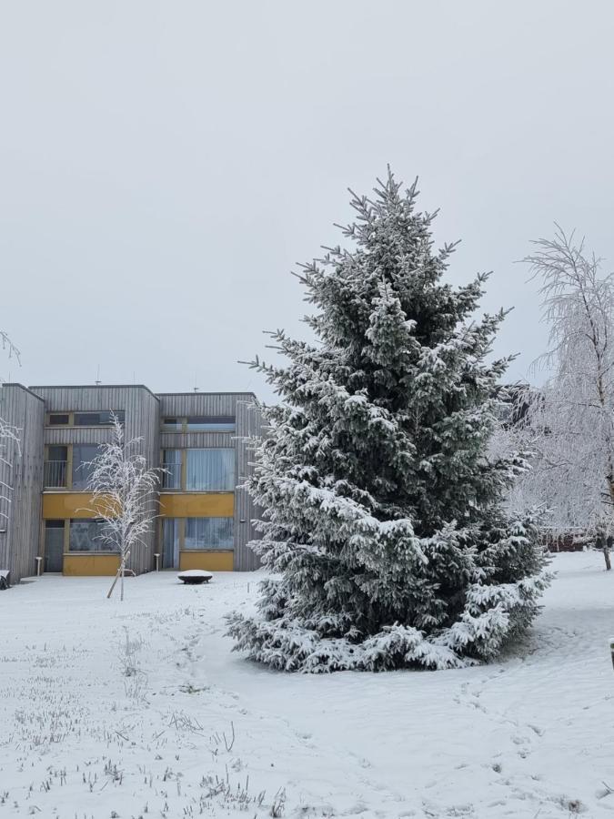 Apartment Max Loučná pod Klínovcem エクステリア 写真